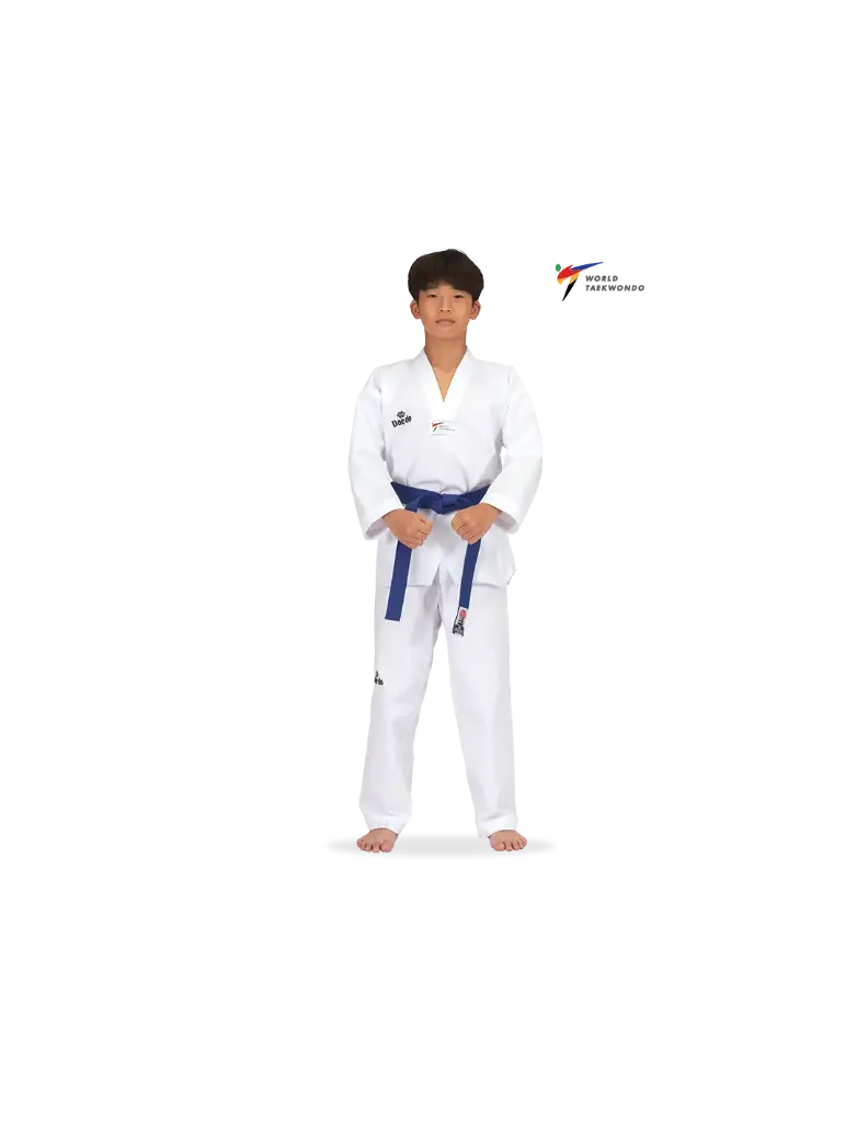 WT Dobok embroidery